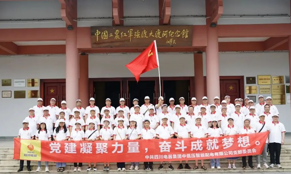 九游电器开展“党建凝聚力量,奋斗成就梦想”主题党日活动