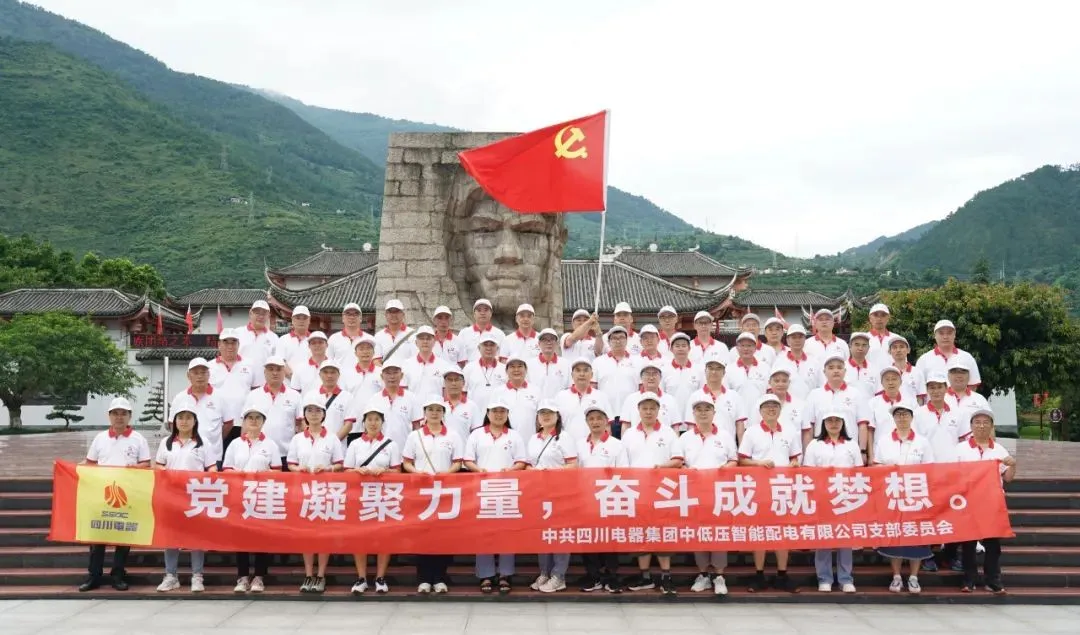 九游电器开展“党建凝聚力量,奋斗成就梦想”主题党日活动